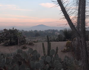 Travel U Plan / Balboa Park Cactus Garden, San Diego, CA - (c) 2006 Ted Grellner
