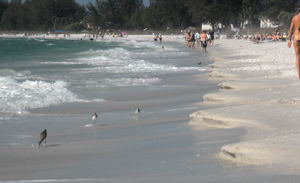 Summertime is beach time!